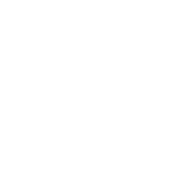 NAMTO Logo White