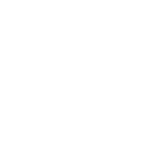 NAMTO Logo White